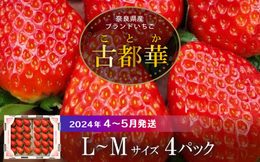 【2024年4月～5月発送】高級いちご「古都華」4パック（小さい