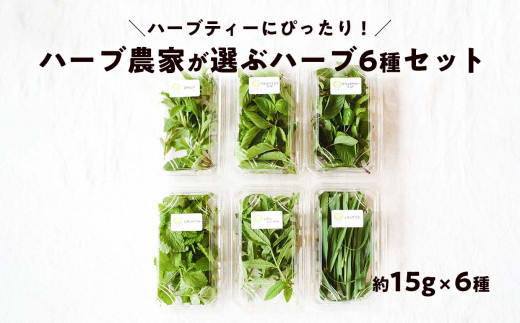 期間限定】ハーブティーにぴったり！ハーブ農家が選ぶハーブ6種セット