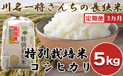 セールを開催する コシヒカリ 新米 30キロ AKIRAファーム 米作り 玄米