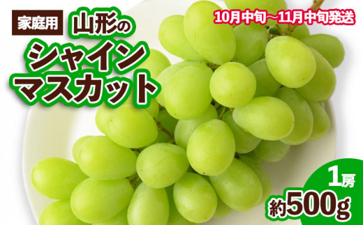 yR`R`szyƒpzR`̃VC}XJbg Di 1[ 500g[10{`11{͂] yߘa8NYs\zFS23-649  ʕ t[c R` R` R`s 2026NY