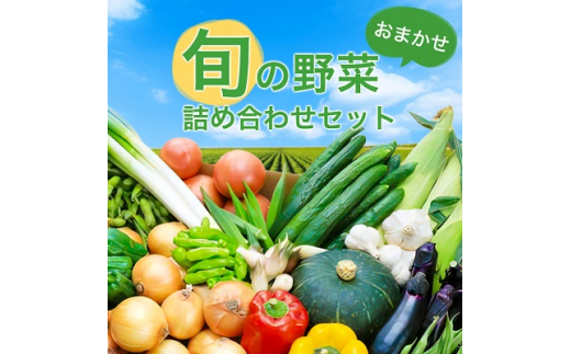 旬の野菜詰め合わせセット (石安米肥店) _ おまかせ 詰め合わせ 旬 旬野菜 季節の野菜 新鮮 産地直送 産直野菜 人気 美味しい 送料無料  【1017731】