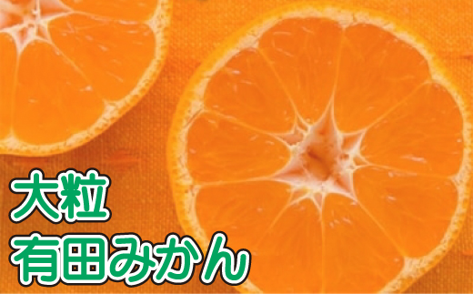 【果汁たっぷり】迫力満点！ 大粒 有田みかん 10kg【2024年11月