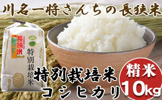 令和5年産】川名一将さんちの長狭米 特別栽培米コシヒカリ10kg【精米】[0024-0010] - 千葉県鴨川市｜ふるさとチョイス -  ふるさと納税サイト