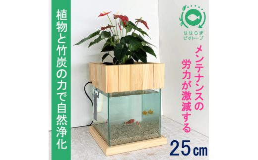 水槽セット 25cm せせらぎビオトープ アクアリウム 木枠台 金魚 植物 - 広島県東広島市｜ふるさとチョイス - ふるさと納税サイト