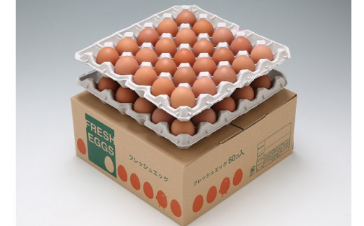 ふるさと納税 卵（鶏、烏骨鶏等） 山形県 庄内町 スズキのたまご　地養卵　MS〜L　50個楽天市場】【ふるさと納税】【☆選べるサイズ☆】かきやまの地養卵 Lサイズ or Mサイズ 40個＜垣山養鶏園＞ [CBB001] 長崎 西海 卵  たまご タマゴ 料理 卵黄 鶏 定期便 Lサイズ 40個 大人気 贈答 ギフト 小分け 赤玉 10000円 1万円 : 長崎県西海市