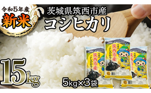 茨城県 筑西市産 コシヒカリ 15kg （ 5kg × 3袋 ） 新米 米 コメ