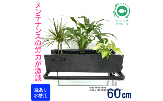 せせらぎビオトープ 60cm型ろ過装置・ 縁あり水槽用（※水槽はついて