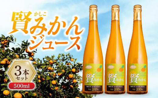 賢みかんジュース500ml 3本セット ギフト - 和歌山県和歌山市