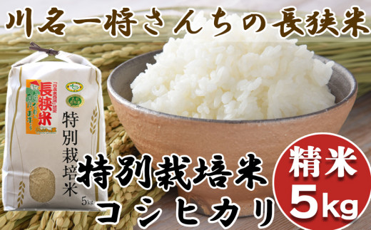 令和5年新米】川名一将さんちの長狭米 特別栽培米コシヒカリ5kg【精米