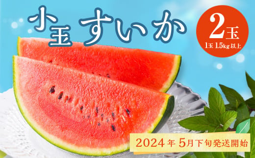 2024年5月下旬発送開始】熊本県産 小玉すいか 2玉 スイカ 果物