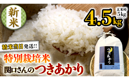 特別栽培米 》 令和5年産 精米日出荷 関口さんの「 つきあかり 」 4.5