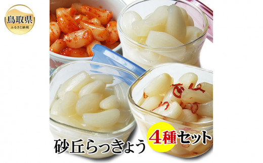 y挧zC24-135 u傤Ђ4ZbgIyÐ|ЂEshЂE\I|ЂEL`Ђz挧Y 挧  傤