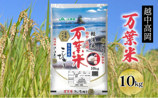 高岡古城公園 景観再生プロジェクト【城跡としての価値と魅力を高め