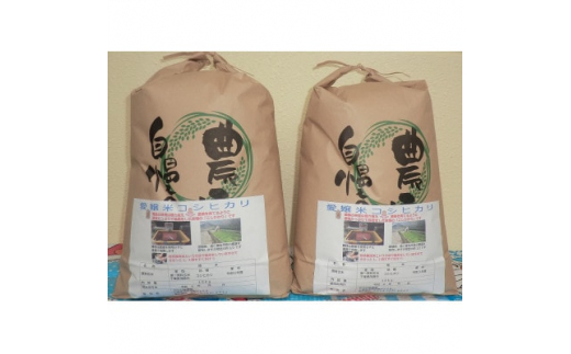 ＜令和5年産＞茂原市産こしひかり白米20kg【1294661】