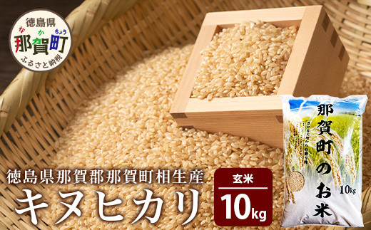 那賀町相生産キヌヒカリ玄米10kg YS-5-4 徳島 那賀 国産 徳島県産 こめ