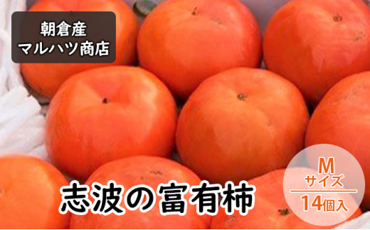 柿 志波の富有柿 Mサイズ×14個入 マルハツ商店 - 福岡県朝倉市