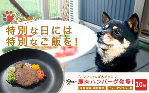 鹿肉ドッグフード　鹿肉ハンバーグ（犬用）　10個（約50g×10個）[№5580-0877]