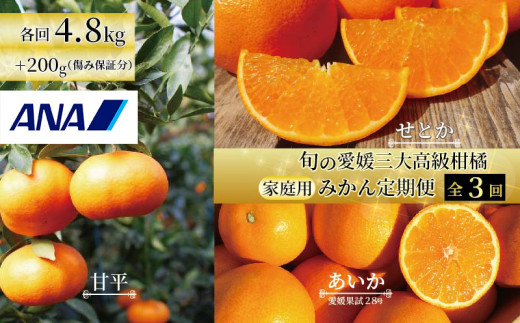2025年12月上旬から発送】【定期便 全3回】旬の愛媛三大高級柑橘 家庭