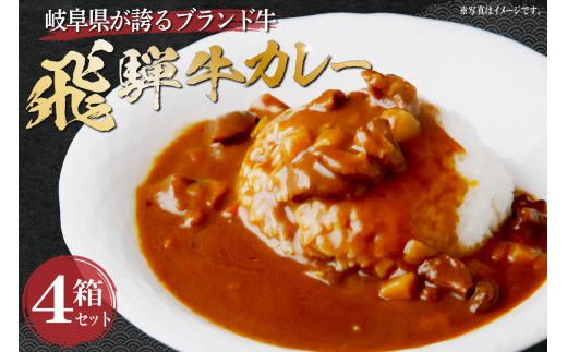 飛騨牛カレーセット 岐阜県 カレー レンジ 湯煎調理 簡単調理 お手軽