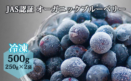 有機JAS認証【冷凍】オーガニックブルーベリー 500g - 熊本県阿蘇市