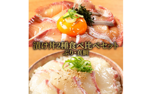 【冷凍】日向灘ぶりと真鯛の漬け丼2種食べ比べセット　100g×8袋　N019-ZA828