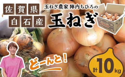 先行予約｜佐賀県白石町産】玉葱農家陣内ちひろさん直送「玉ねぎ」約