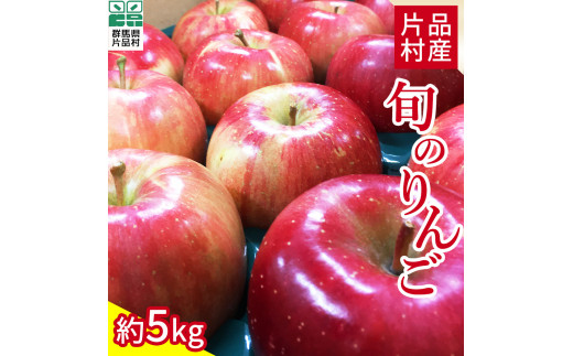 ☆数量限定☆尾瀬の郷 片品村産旬のりんご（＊11月上旬受付終了予定