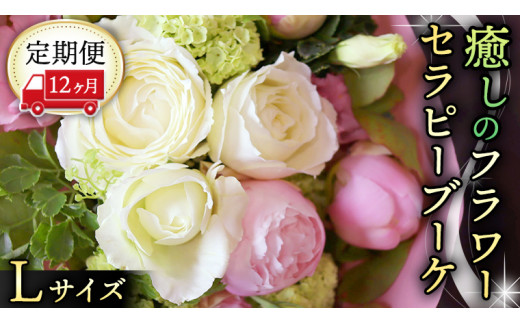 y錧}szy 12  z   t[ Zs[ u[P LTCY   ͂ bNX tbV XgX [CT116ci]
