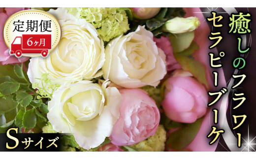 y錧}szy 6  z   t[ Zs[ u[P STCY   ͂ bNX tbV XgX [CT109ci]