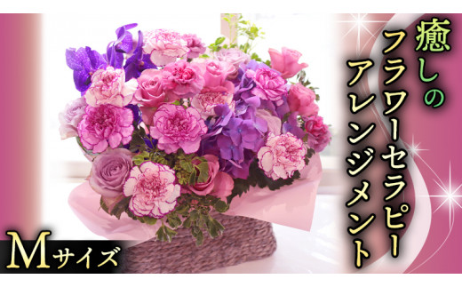 y錧}sz  t[ Zs[ AWg MTCY   ͂ AW bNX tbV XgX [CT123ci]