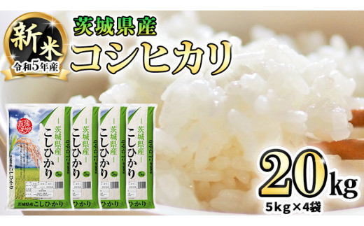 コシヒカリ新米20キロ - 米/穀物