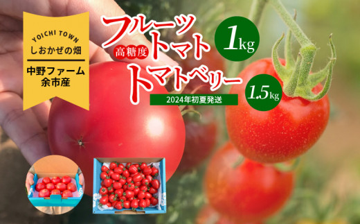 〔先行受付〕しおかぜの畑 中野ファーム 余市産フルーツトマト 1kg・トマトベリー 1.5kgセット(2024年初夏発送) 高糖度トマト・ミニトマト