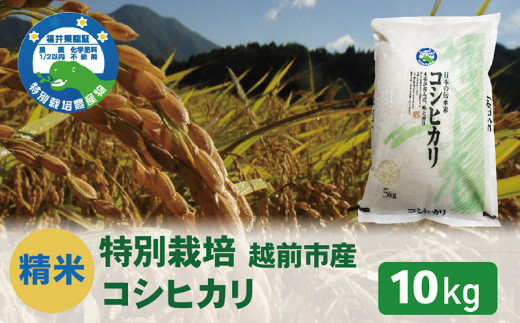 令和5年度新米 精米】特別栽培 越前市産コシヒカリ 10kg - 福井県越前