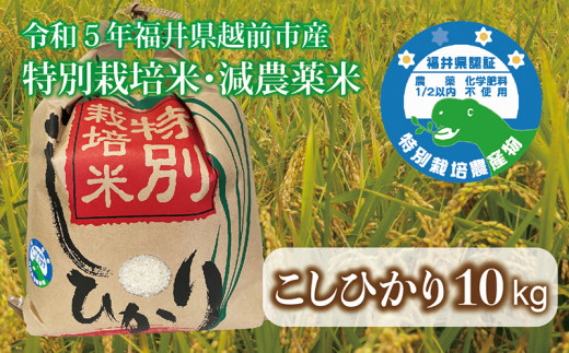 【令和5年度産・新米】 福井県越前市産コシヒカリ　福井県特別栽培米　10kg