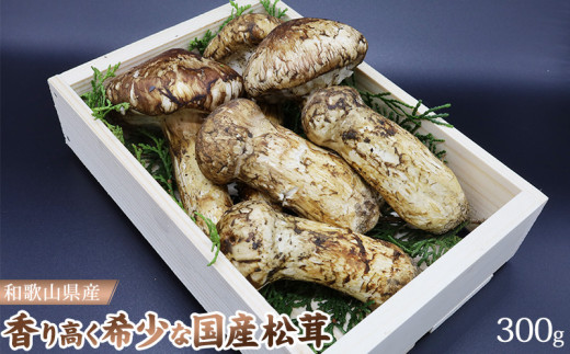 国産松茸300g | www.phukettopteam.com