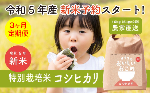 3ヶ月定期便・令和5年産】【農家直送】特別栽培米コシヒカリ 10kg (5kg
