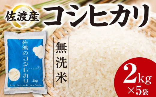 ふるさと納税 佐渡産コシヒカリ 2kg×5袋 新潟県佐渡市-www