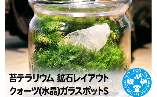 苔テラリウム 鉱石レイアウト クォーツ(水晶)ガラスポットS 説明書付 - 群馬県邑楽町｜ふるさとチョイス - ふるさと納税サイト