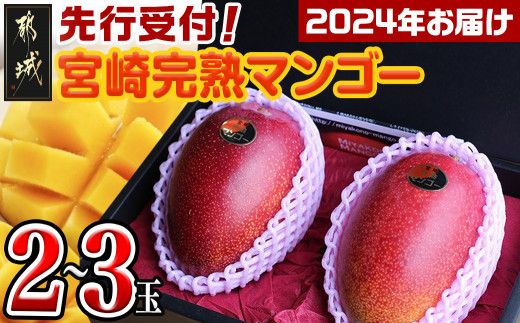 宮崎県産 完熟マンゴー 自家用 4~4.3kg - フルーツ