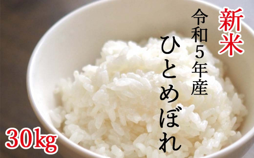 令和5年産 新米 先行受付】平泉町産ひとめぼれ 精米30kg - 岩手県平泉