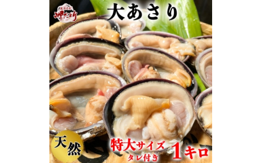 岬だよりの＜知多半島名物＞天然大あさり 半割り(冷凍)特大サイズ約