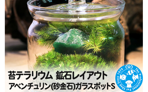 苔テラリウム 鉱石レイアウト アベンチュリン(砂金石)ガラスポットS 説明書付 - 群馬県邑楽町｜ふるさとチョイス - ふるさと納税サイト