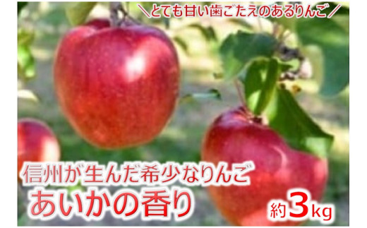 【010-11】幻のりんごあいかの香り3キロ　信州が生んだ希少なりんごです（りんご・リンゴ・林檎）