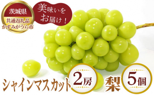 No.308 シャインマスカット2房と梨5個【茨城県共通返礼品 かすみがうら