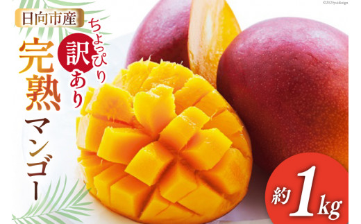 品質満点！ コトウアジアストア 宮崎県産摘果マンゴー フルーツ・果実 