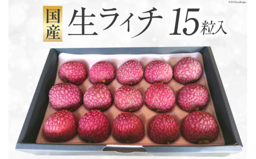 期間限定発送】 生ライチ 15粒入り [大黒園 宮崎県 日向市 452060925