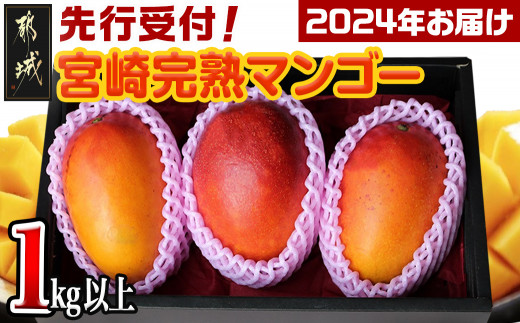 限定品得価宮崎県産完熟マンゴー特大4L 4玉② 果物