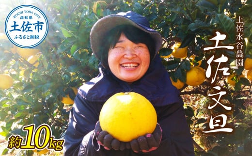 ymysz{AmysYIyJ_̘InyU 10L 10kgi3L`5Lj U Ԃ񂽂 u^ yU k t[c ʕ n  y m