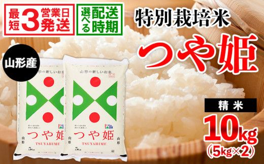 【定期便6回】令和5年産米 発送開始月が選べる 山形産 特別栽培米