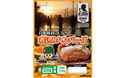 防災食 煮込みハンバーグ(115g×20個) [南日本ハム 宮崎県 日向市